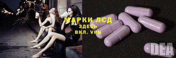 трава Карпинск