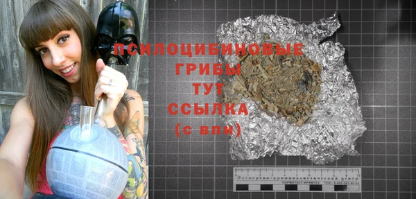 крисы Карталы