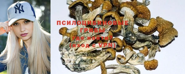 трава Карпинск
