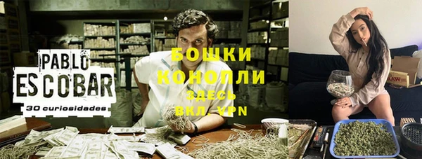 трава Карпинск