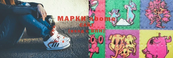 трава Карпинск
